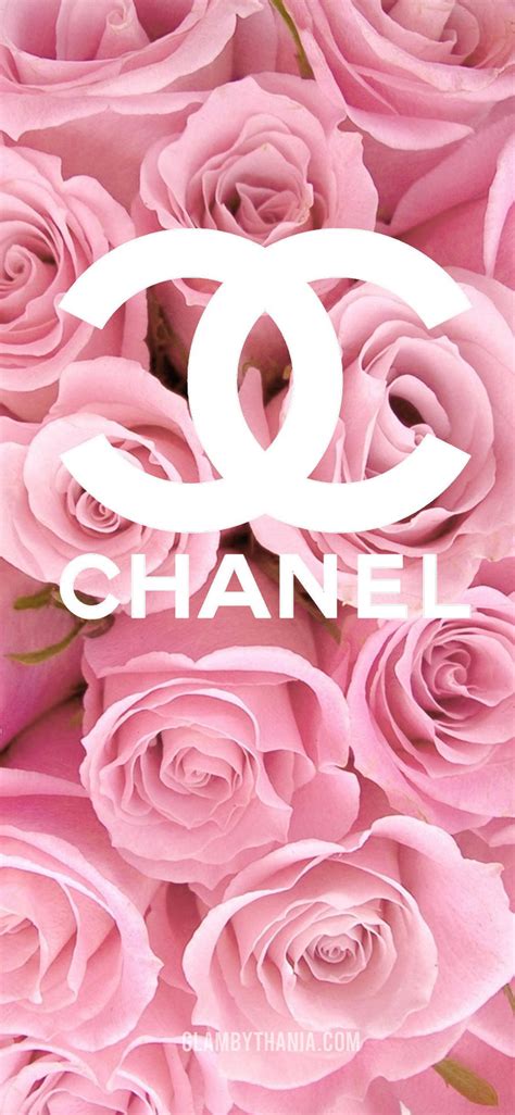 pink chanel background|pink chanel logo wallpaper.